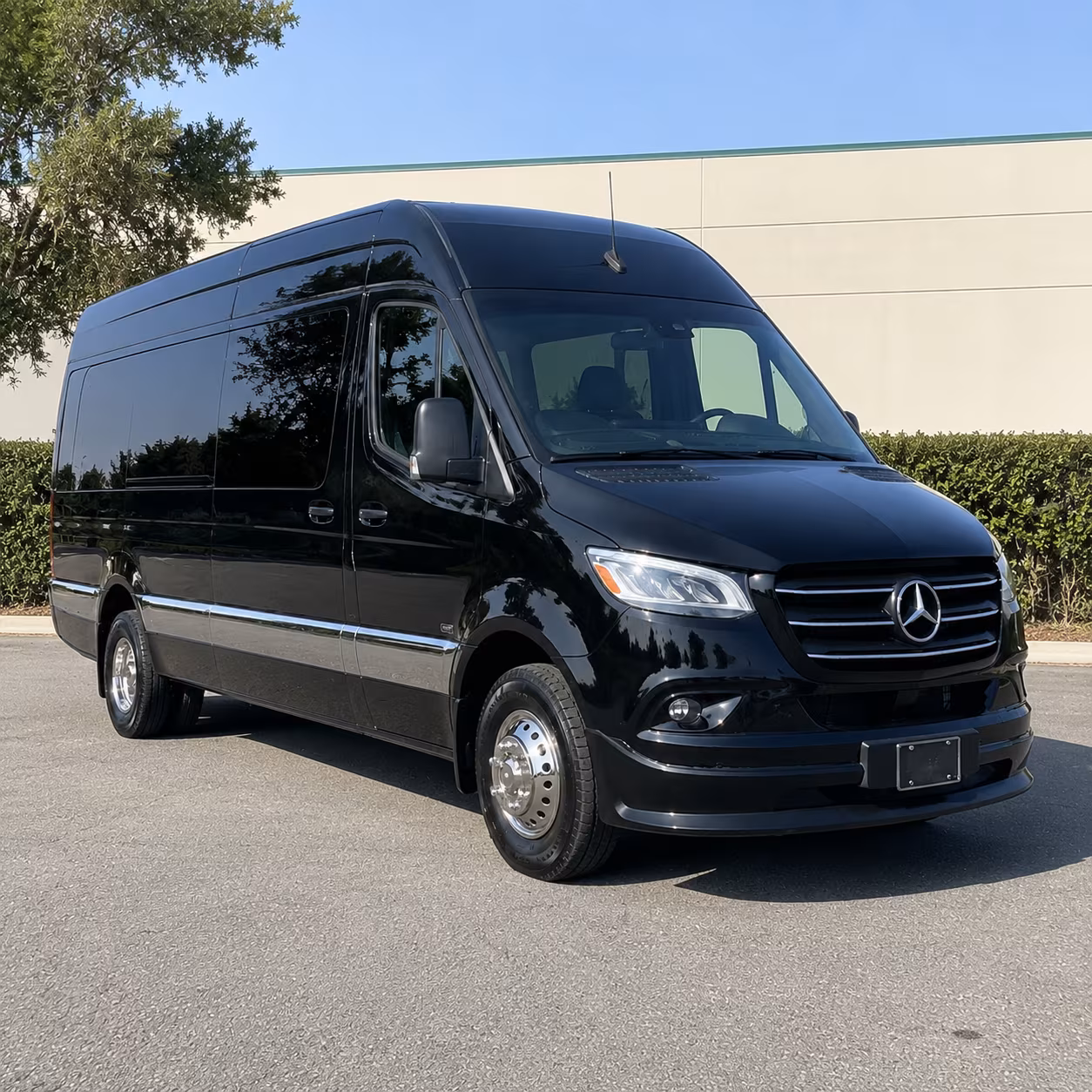 billings sprinter van with driver